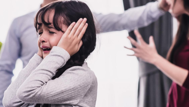 Domestic_Violence_Ak_Tiwari