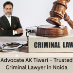 Looking for a Trusted Criminal Lawyer in Noida