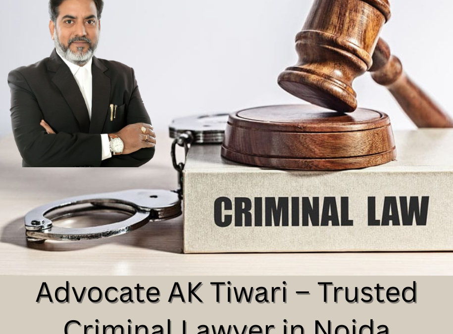 Looking for a Trusted Criminal Lawyer in Noida